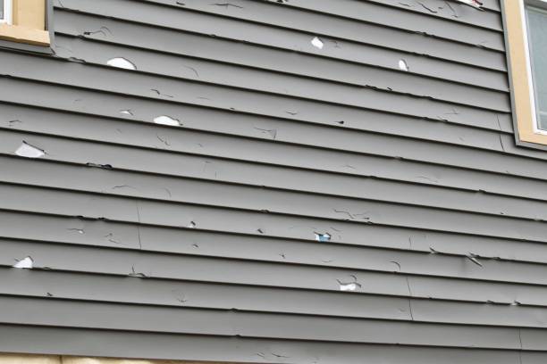 How To Choose The Right Materials for Your Siding Installation in 'Holtville, CA