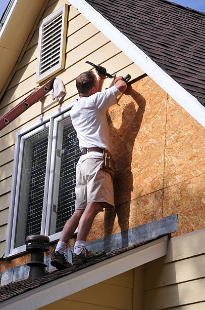 Best Vinyl Siding Installation  in Holtville, CA